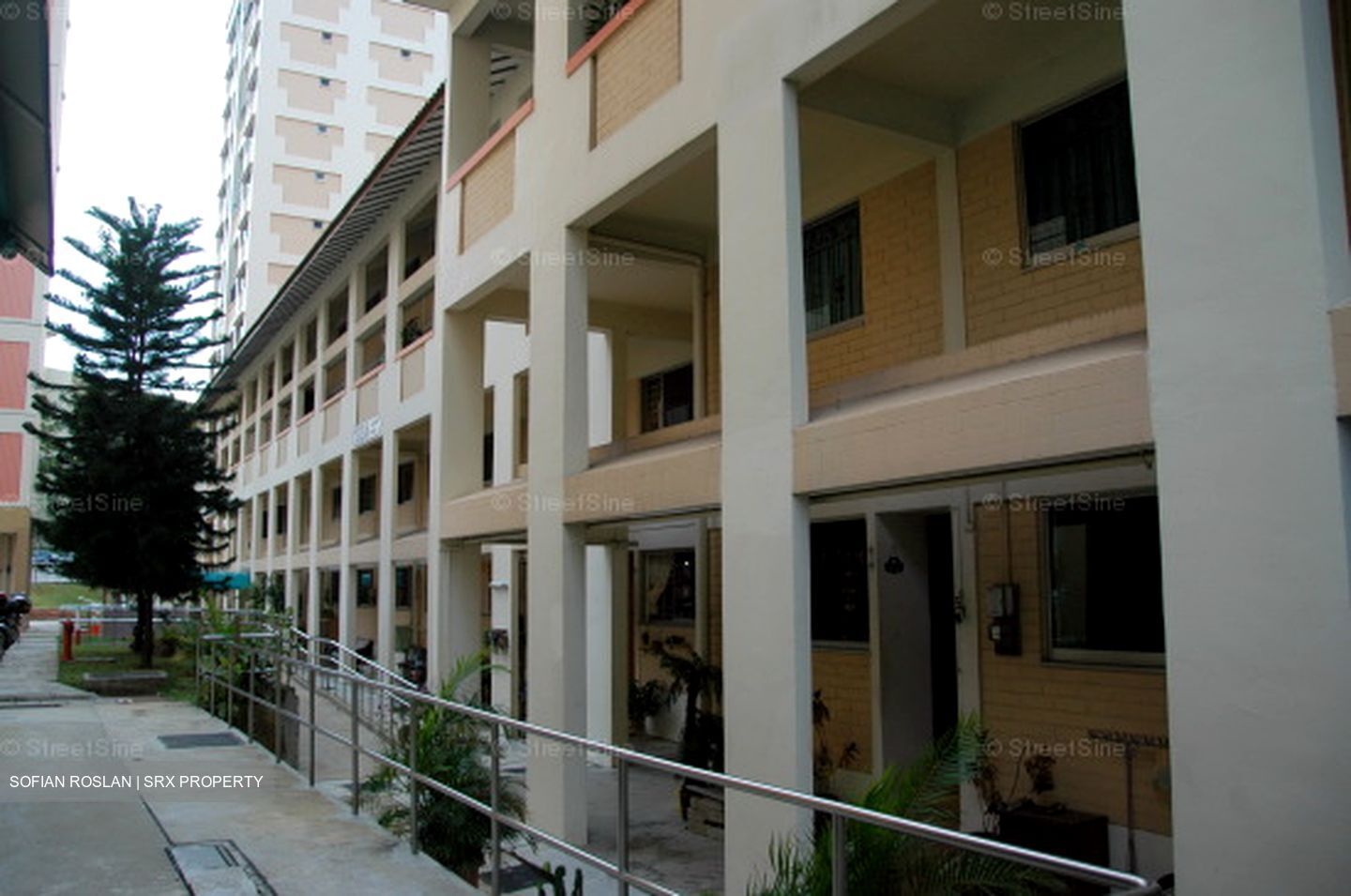 Blk 133A Cashew Road (Bukit Panjang), HDB Executive #558833601